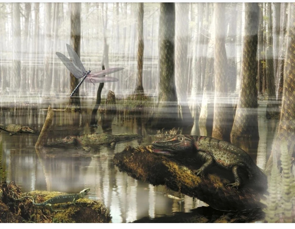 Illustration of a Carboniferous swamp forest with ancient creatures, as it may have looked 280 million years ago