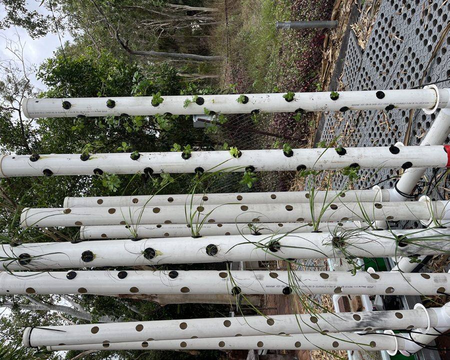 Vertical Farming station at Science Week 2025
