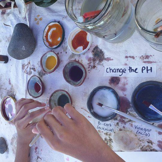 Exploring Natural Colour station at Science Week 2025