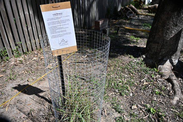 Native Plant Tour station at Science Week 2025