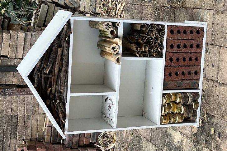 Protecting Our Pollinators & Biophilic Architecture station at Science Week 2025