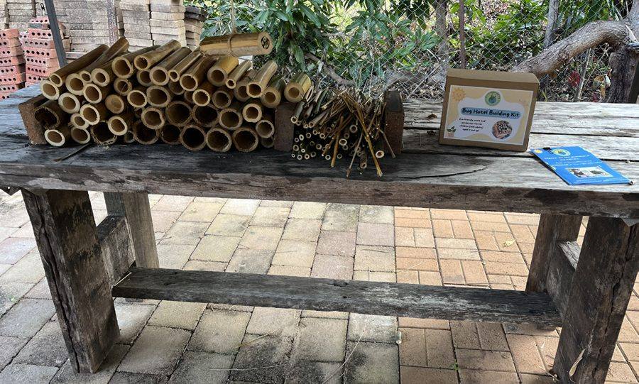 Protecting Our Pollinators & Biophilic Architecture station at Science Week 2025