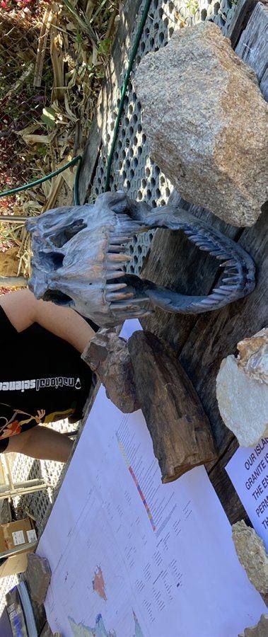 Volcanoes, Swamps & Deep Time station at Science Week 2025