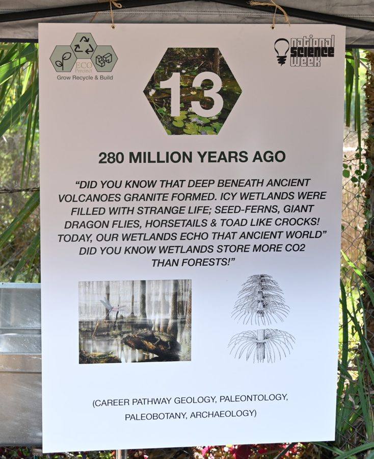 Volcanoes, Swamps & Deep Time station at Science Week 2025