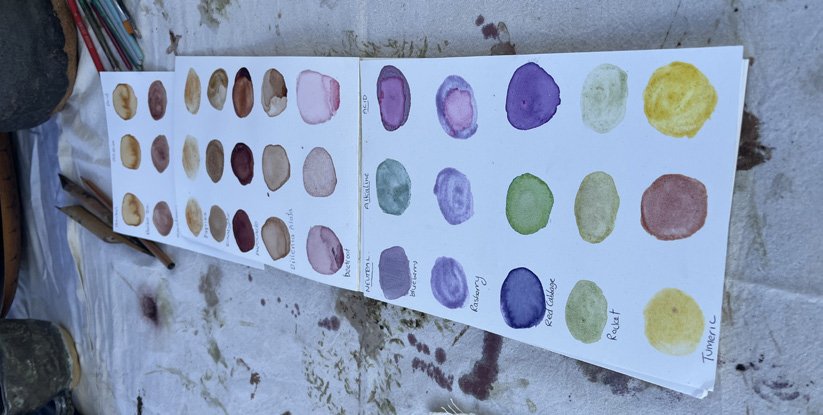 Exploring Natural Colour station at Science Week 2025